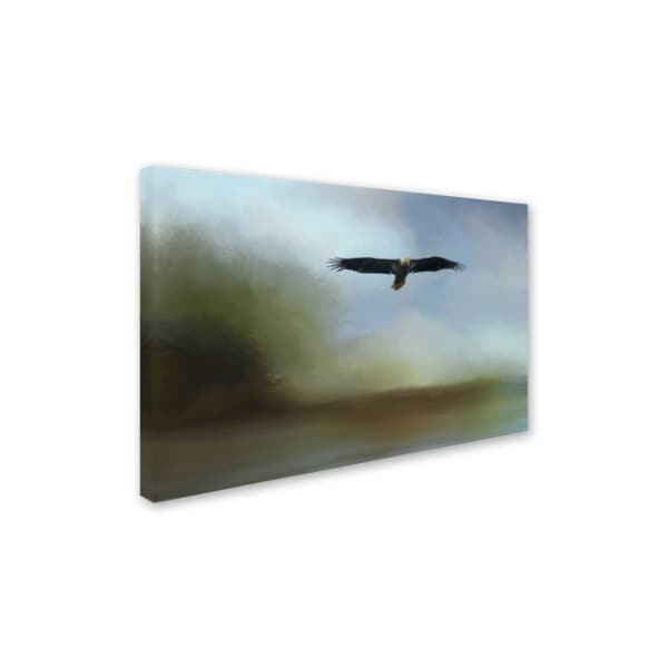 Jai Johnson 'Juvenile Eagle At The Lake' Canvas Art,16x24